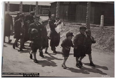 Auschwitz I. Bild från museet i block nr 4.